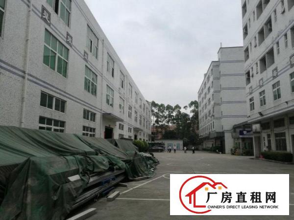 
		龙岗坪地原房东厂房适合高新产业电子贸易科技医疗研发等
	