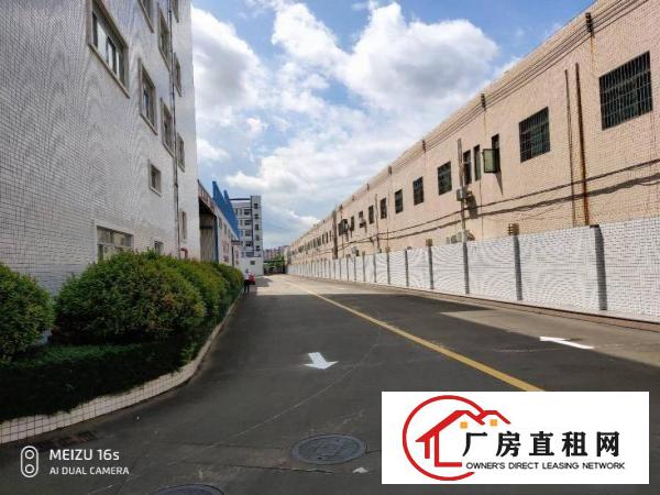 
		坪地8米高仓库，厂房出租！证件齐全，有红本，空地超大！
	