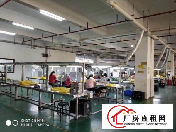 
		坪地低碳城大型工业园二楼1100平方带消防喷淋出租，有红本
	