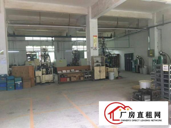 
		坪西标准一楼265平方高度五米已现成隔好
	