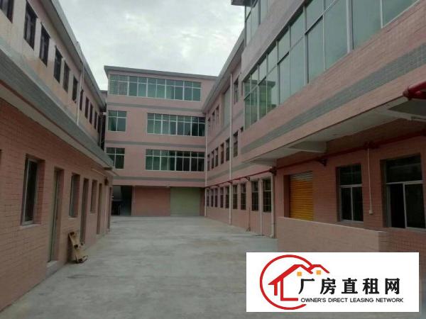 
		坪西原房东实量面积900出租
	