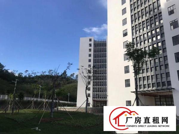 
		坪地低碳城新分出楼上750平米独立货梯及洗手间采光好
	