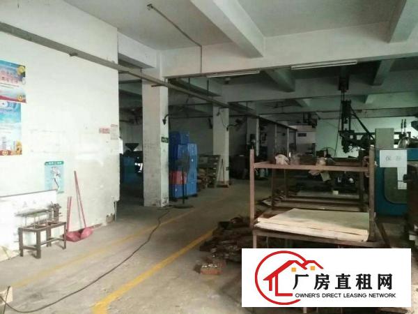 
		坪地精品小独院3300平方可整租分租
	