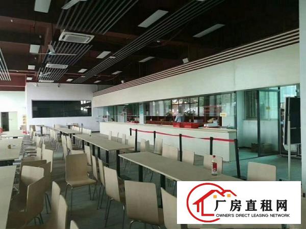 
		龙岗大道旁企业部办公贸易电商现成装修好办公室可大小分租
	