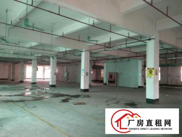 
		坪地工业区1200平方米村委厂房招租，易招工环境好
	