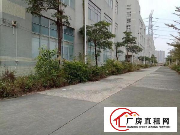 
		坪地北通道高速路口大型工业园标准厂房出租105800平有红本
	