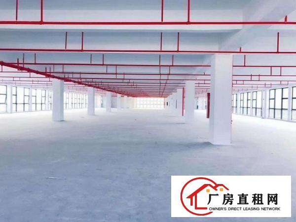 
		龙岗坪地红本厂房3200平方带双货梯可分租
	