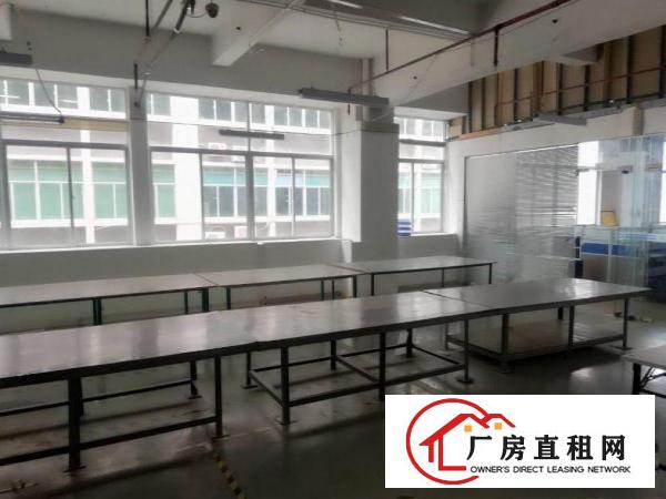 
		民治工业园一楼460平方精装修厂房招租
	