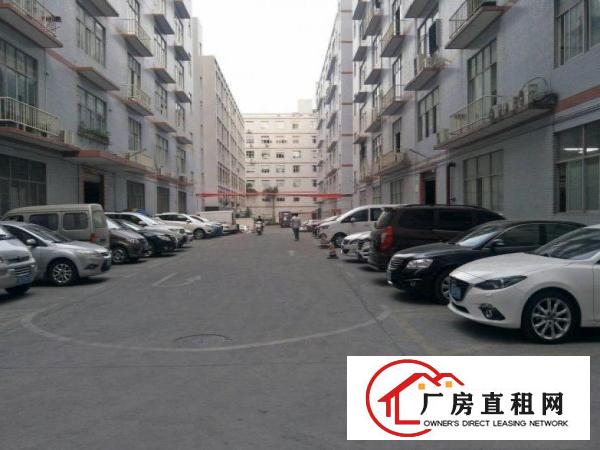 
		民治工业园一楼460平方精装修厂房招租
	