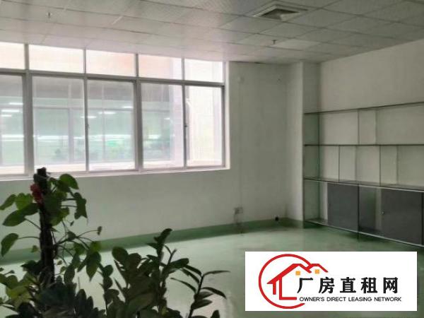 
		龙璧工业区利金城工业区附近百利路
	