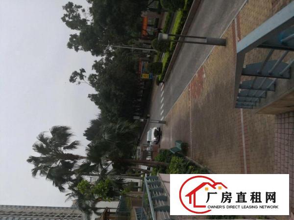 
		出租龙岗区坂田五和优质厂房物业工厂电商仓库不二之选
	