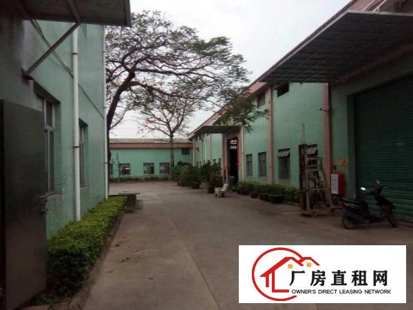 
		茨田蒲松柏路边豪华装修厂房450平面
	