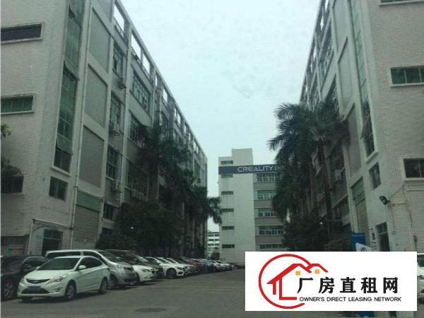 
		坂田杨美地铁站旁电商贸易办公26800平出租，220平起分租
	