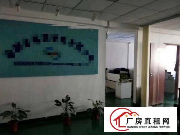 
		坂田原房东标准厂房出租，面积可适量，带牛角
	