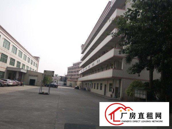
		坂田原房东金宝宝工业园出租厂房
	
