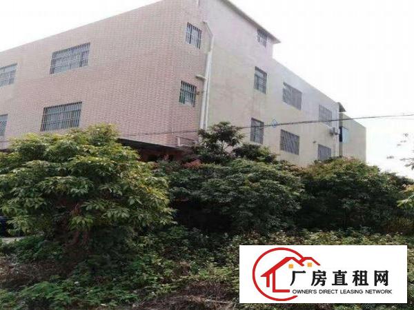 
		龙岗区坂田独栋3层厂房出租1500平方可分租
	