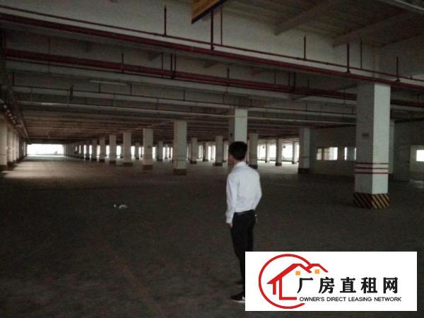 
		龙岗区坂田街道吉华路原房东红本厂房3200平出租
	