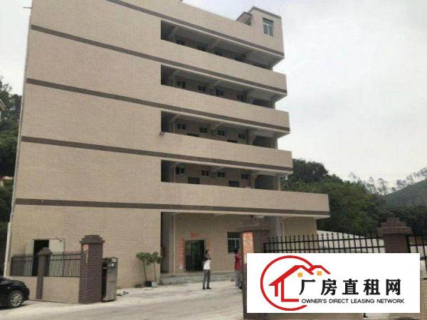 
		坂田原房东一楼无公摊960平可分租
	