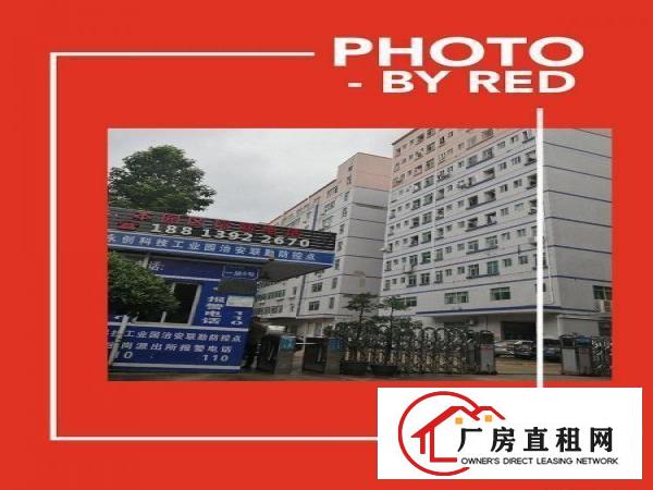 
		龙岗区坂田上雪科技园带装修厂房房东直租交通便利配套齐全
	