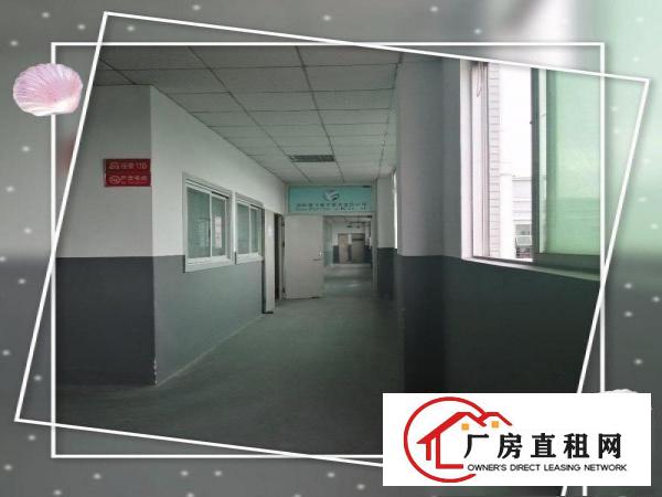 
		龙岗区坂田上雪科技园带装修厂房房东直租交通便利配套齐全
	
