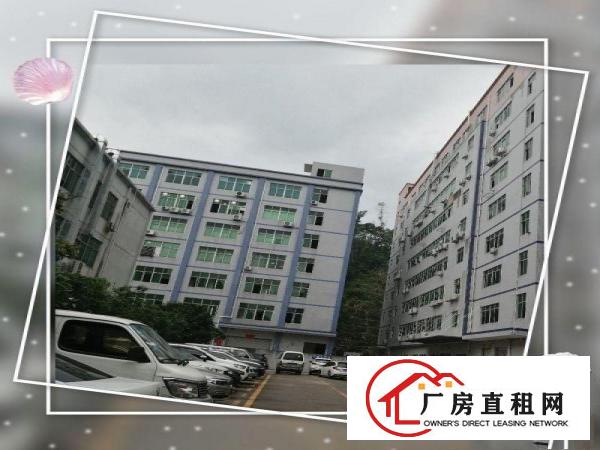 
		房东直租深圳龙岗坂田上雪科技园厂房带装修环境优美交通便利
	