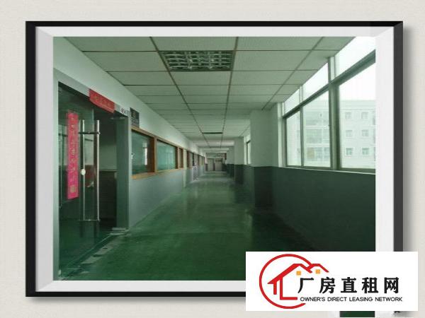 
		房东直租深圳龙岗坂田上雪科技园厂房带装修环境优美交通便利
	
