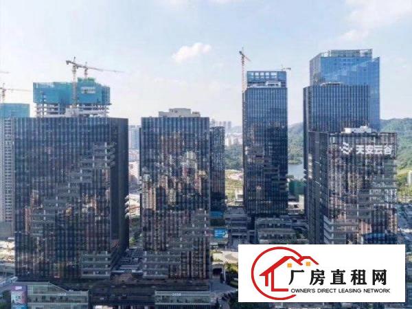 
		坂田天安云谷一手租售免中介费性价比高可返点大小面积有
	