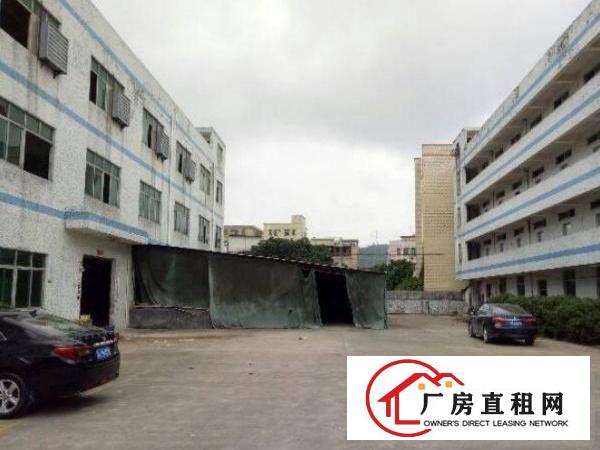 
		新出楼上680平带豪华精装修超靓厂房招租
	