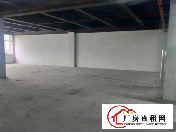 
		一楼标准厂房整层2000平大小面积可以分租
	