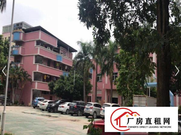 
		新田460平带精装办公室水电齐全有消环批文交通方便
	