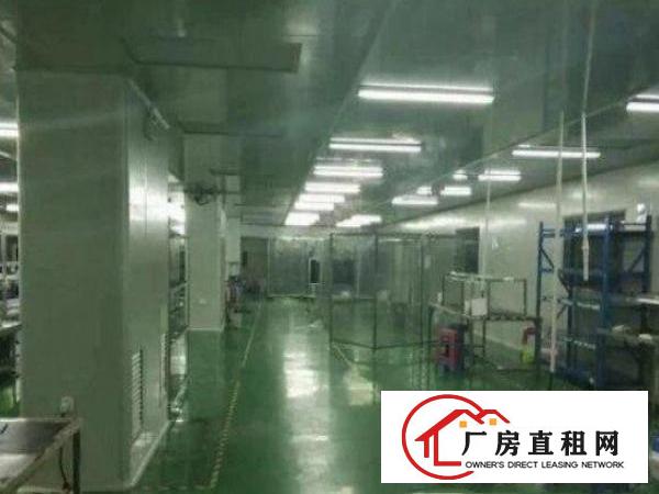 
		新田460平带精装办公室水电齐全有消环批文交通方便
	