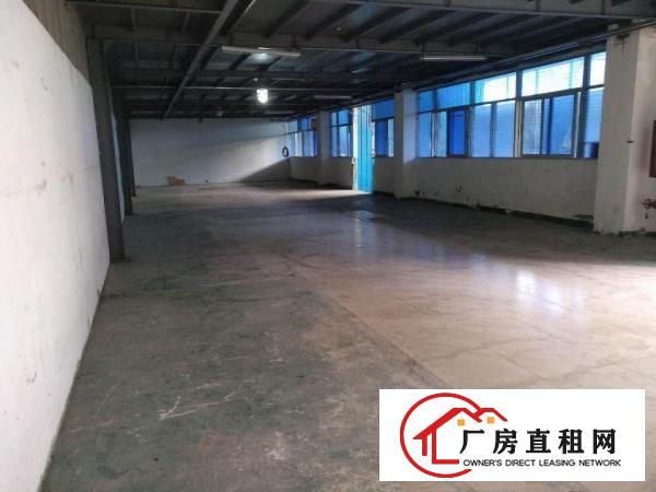 
		业主直租龙岗区坂田茂和工业园一层仓库
	