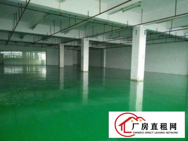 
		消防喷淋齐全配备两部货梯
	