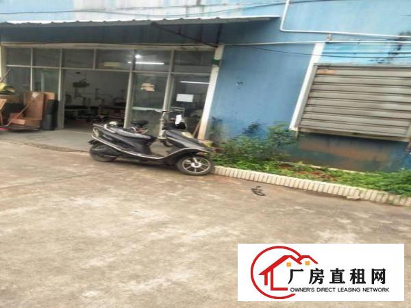 
		南油服装市场旁1500平办公室仓库出租50元/平
	
