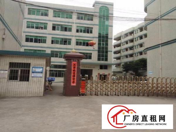 
		布吉丹竹头楼上精装修1000平厂房出租电子电商可分租
	