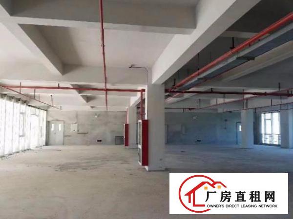 
		木棉湾地铁站新出电商园二楼300平出租,价格便宜
	