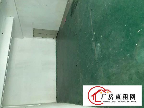 
		坂田上雪科技园900平厂房招租（主干道旁/直租/可分租）
	