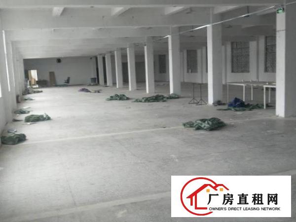 
		新生红本精装修2500平米厂房大小分租
	