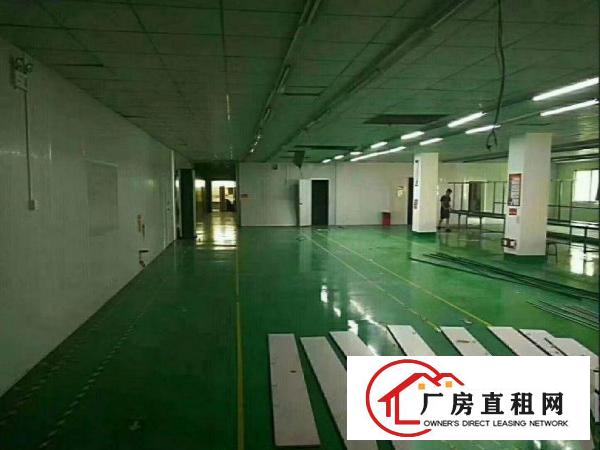 
		无转让费，出租龙岗区坂田楼上500平米精装修厂房
	