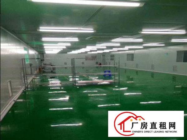 
		带无尘车间，龙岗区坂田楼上厂房800平出租
	