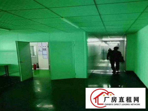 
		带无尘车间，龙岗区坂田楼上厂房800平出租
	