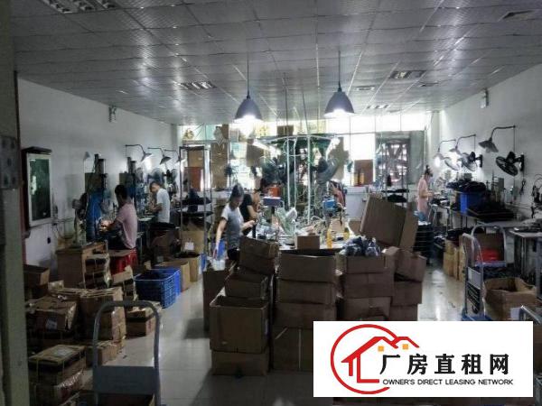 
		带装修出租，水电齐全的龙岗区坂田楼上厂房300平方
	
