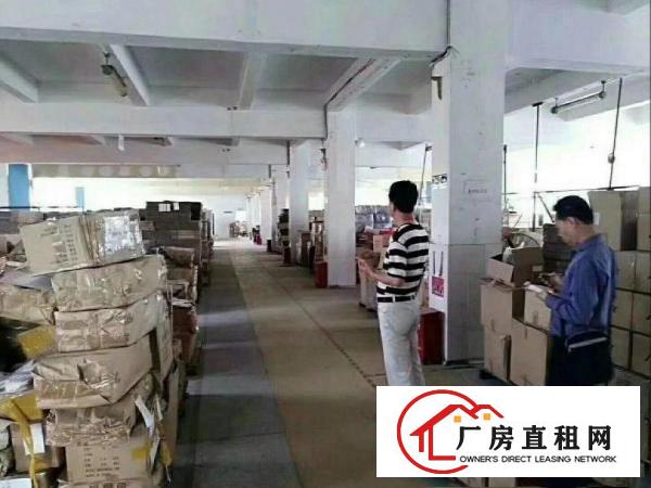 
		低价招租，龙岗区坂田旭明工业园一楼500平方
	