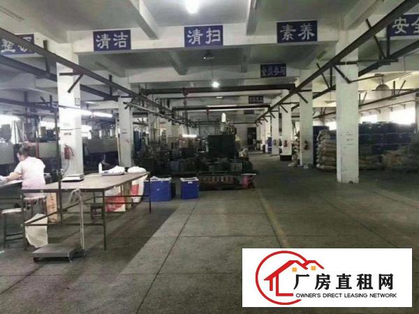 
		龙岗区坂田中坡工业园新出一楼800平方厂房高7米招租，可分租
	