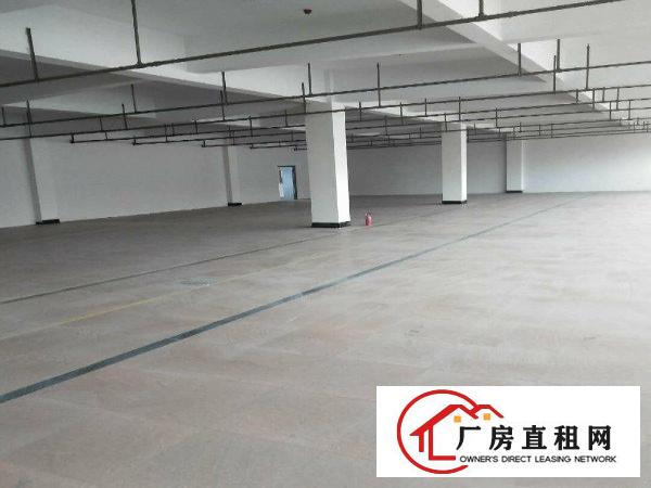 
		龙岗区坂田楼上标准厂房300平出租，原房东，大车进出方便
	