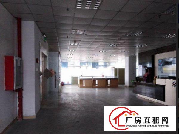 
		出租龙岗区坂田新出标准楼上880平，带电梯精装修配备齐全。
	