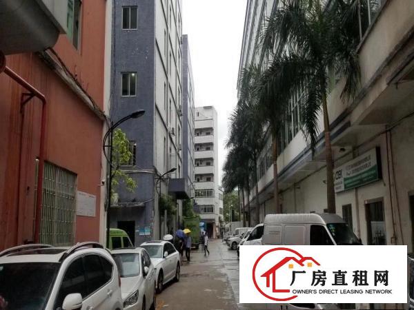 
		杨美地铁口140至2300平米业主直租
	
