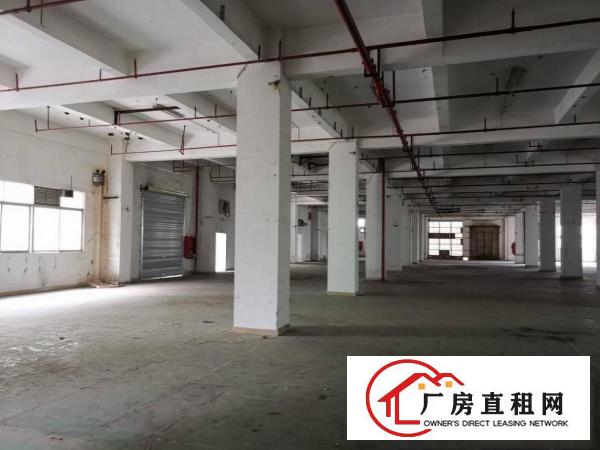 
		布吉上李朗科技园15层14000平方厂房出租
	