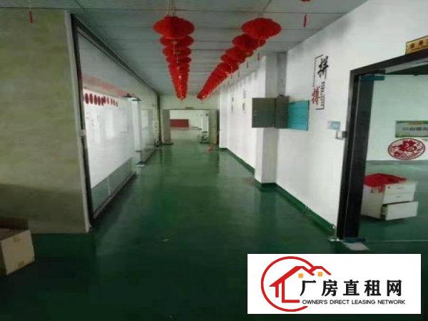 
		上雪科技园楼上1500平实用高带简单装修出租
	