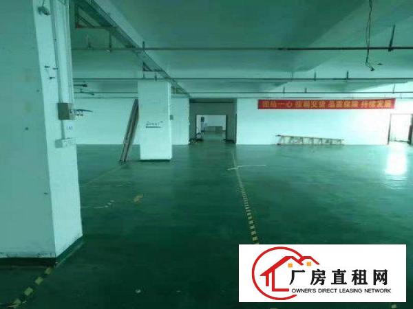
		上雪科技园楼上1500平实用高带简单装修出租
	